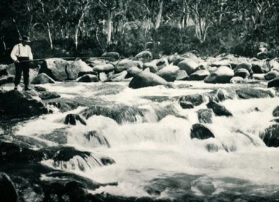 Snowy River