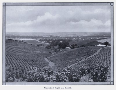 Adelaide yakınlarındaki Magill