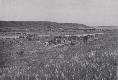 Alberta