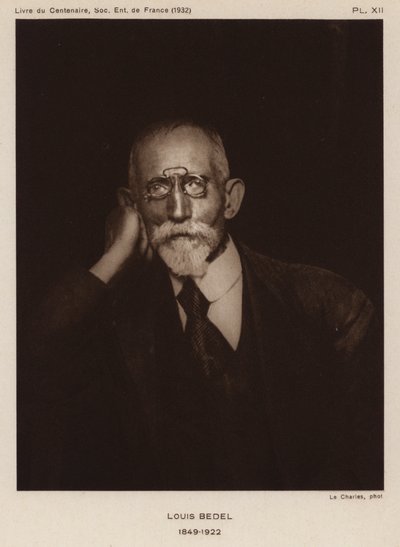 Ernest Marie Louis Bedel, Fransız entomolog (s/b fotoğraf) by Photographer French