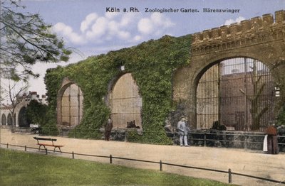 Köln Hayvanat Bahçesi, Ayılar (fotoğraf) by Photographer German