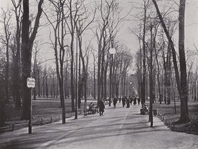 Tiergarten, Ahornsteig