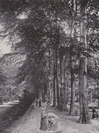 Tiergarten