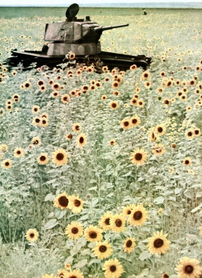  by Photographer German