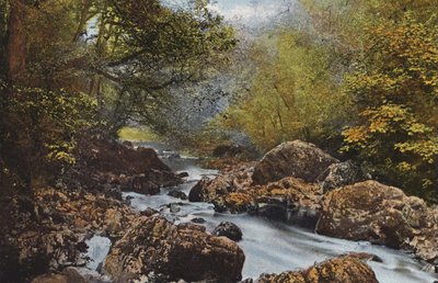 İrlanda: In The Dargle, County Wicklow (renkli fotoğraf) by Photographer Irish