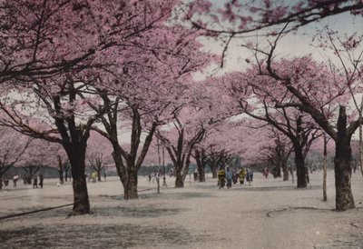 Japonya, c.1912: Uyeno Park