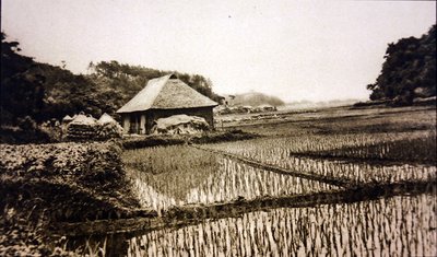 Japonya