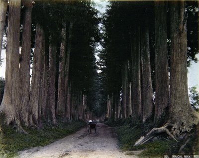 Nikko