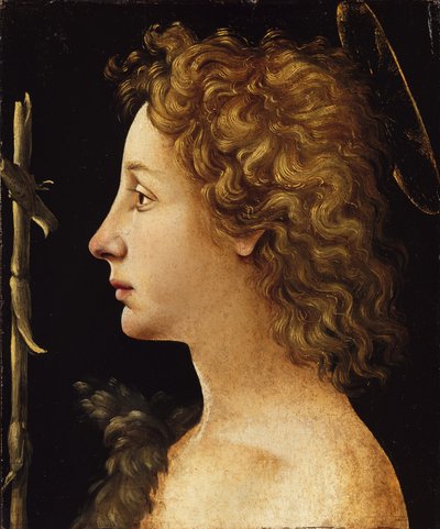 Genç Aziz John the Baptist (ahşap üzerine tempera ve yağ) by Piero di Cosimo