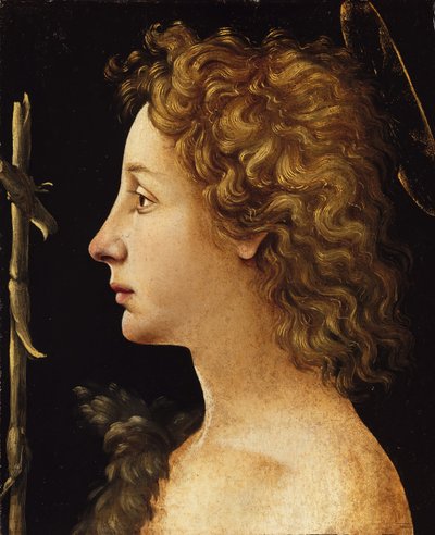 Genç Vaftizci Yahya, yak. 1480-82. by Piero di Cosimo