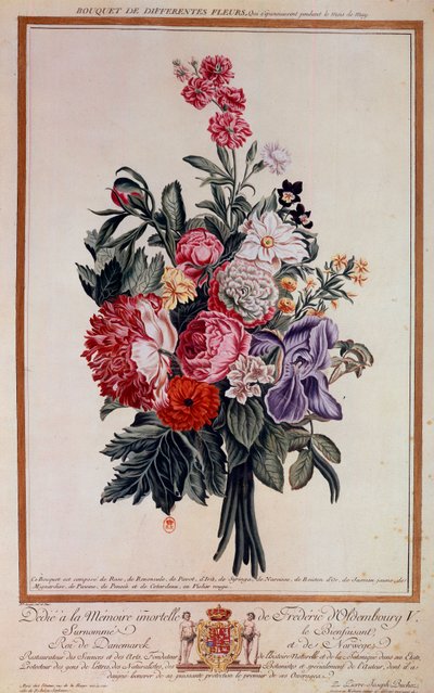 Çiçek buketi melanj litografi Pierre Joseph tarafından by Pierre Joseph Buchoz