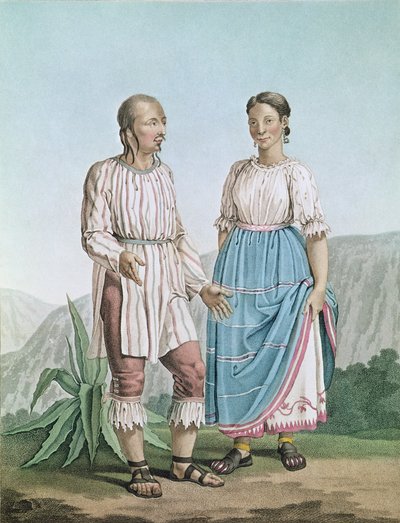 Alexander von Humboldt (1769-1859) tarafından 1810