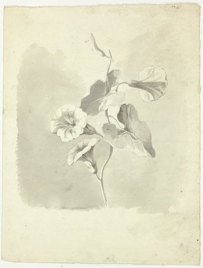 Sabah Zaferleri by Pierre Antoine Mongin