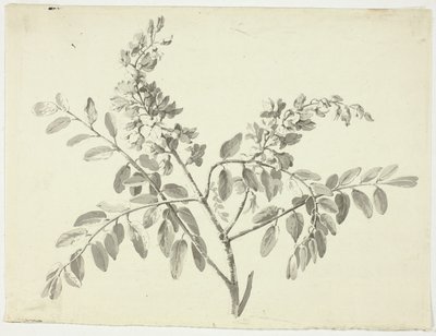 Çiçekli Dal by Pierre Antoine Mongin