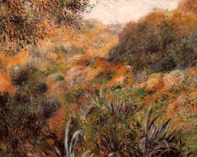 Cezayir manzarası, vahşi kadının vadisi by Pierre-Auguste Renoir