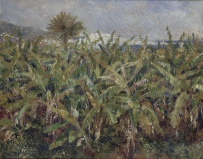 Muz Ağaçları Tarlası Champ de bananiers, 1881 by Pierre Auguste Renoir