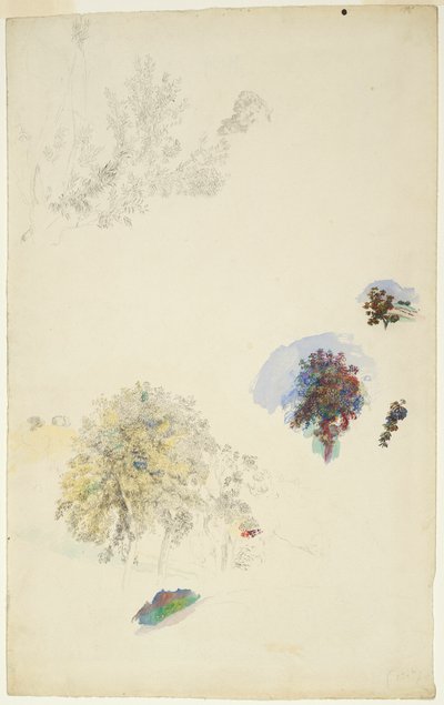 Ağaç ve Yeşillik Çalışmaları by Pierre-Auguste Renoir