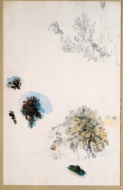 Ağaç çalışmaları by Pierre Auguste Renoir