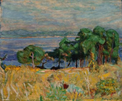 Saint-Tropez Körfezi by Pierre Bonnard