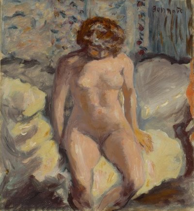 kadın hareketi by Pierre Bonnard