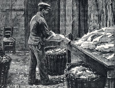 Deri: Pierre Calmette Özel Koleksiyonu "Excursion a travers les metiers"den deri işlemek için tavşan derilerinin yarılması by Pierre Calmettes