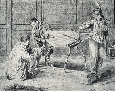 Tahnitçilik: atölyede yapay iskeleti hazırlayan hayvan postçuları Pierre Calmette'in "Excursion a travers les metiers" gravürü by Pierre Calmettes