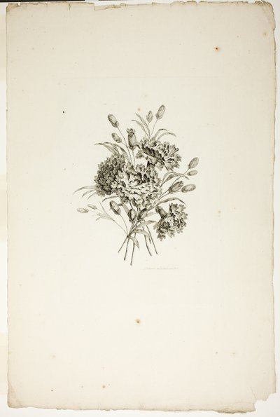 Farklı Çiçek Buketleri Koleksiyonundan Karanfilli Buket, Jean Pillement tarafından icat edilip çizilmiş ve P. C. Canot tarafından oyulmuş by Pierre Charles Canot