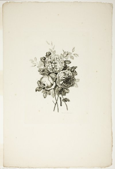 Farklı Çiçek Buketleri Koleksiyonundan Gül Buketi, Jean Pillement tarafından icat edilip çizilmiş ve P. C. Canot tarafından oyulmuş by Pierre Charles Canot