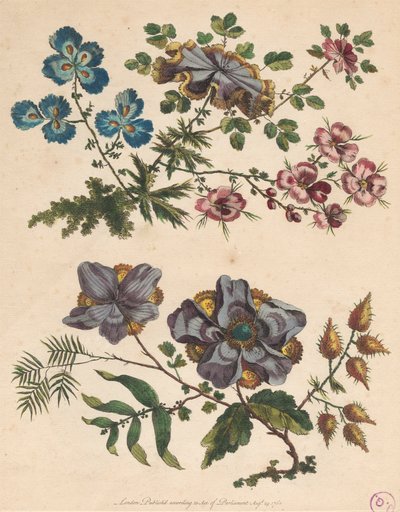 İki Püskürtme Hayali Çiçek by Pierre Charles Canot