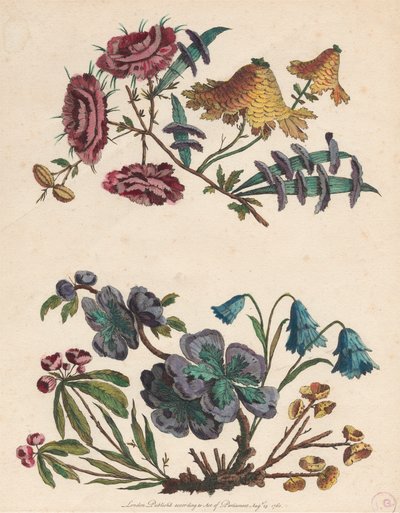 İki Püskürtme Hayali Çiçek by Pierre Charles Canot
