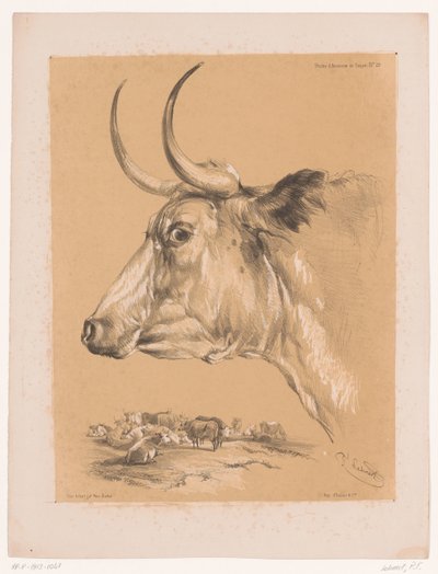 Cooper'ın Sığır Hayvan Çalışmaları Üzerine Çalışması (dizi başlığı) Études d'Animaux de Cooper (nesne üzerine dizi başlığı) by Pierre Frédéric Lehnert