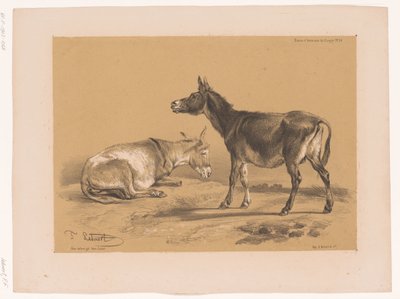 İki eşek çalışması Cooper'ın hayvan çalışmaları (dizi başlığı) Études d'Animaux de Cooper (nesne üzerine dizi başlığı) by Pierre Frédéric Lehnert