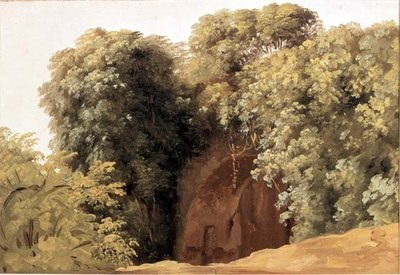 Çim Kümeleri Olan Bir Çarşı Harabeleri by Pierre Henri de Valenciennes