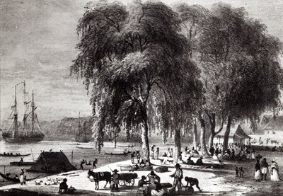 Balık Pazarı, Paramribo, 