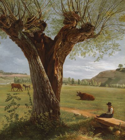 Pollard Söğüt by Pierre Jean Boquet