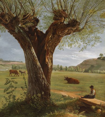 Pollard Willow, 1804