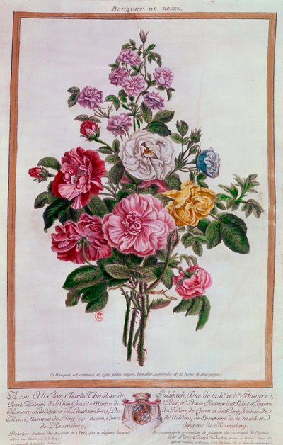 Gül buketi Pierre Joseph Buchoz (1731-1807) tarafından Litografi 18. yüzyıl Paris, B.N. by Pierre Joseph Buchoz