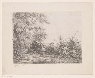 Ormanın kenarına düşen ağaç Beş gravür kanıtı (seri başlığı) by Pierre Louis Dubourcq