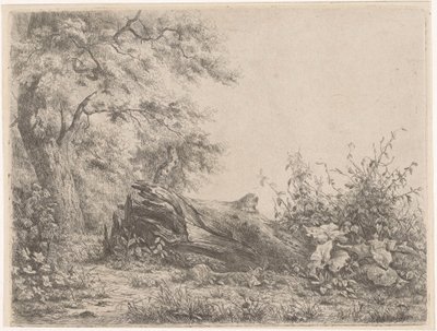 Ormanın kenarına düşen ağaç Beş gravür kanıtı (seri başlığı) by Pierre Louis Dubourcq