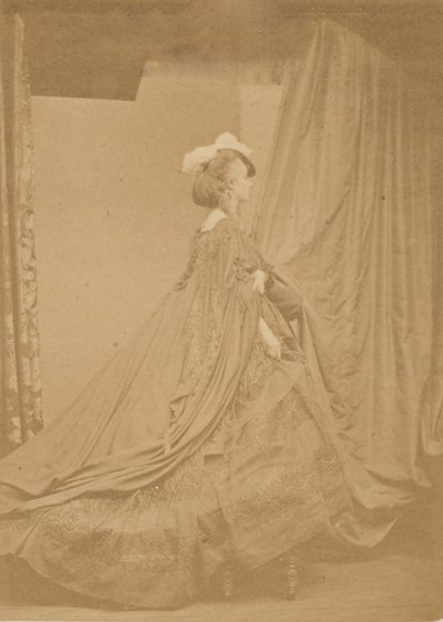 Diğer Tüylü Şapka, 1860