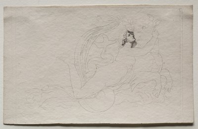 Avrupa'ya tecavüz by Pierre Paul Prud