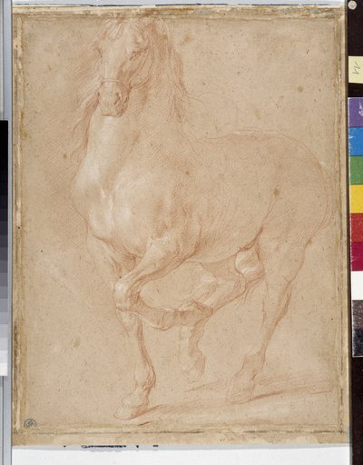 At çalışması (sanguine) by Pierre Puget