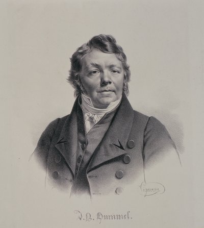 ಜೋಹಾನ್ ನೆಪೋಮುಕ್ ಹಮ್ಮೆಲ್ (1778-1837) ಟರ್ಕಿ by Pierre Roch Vigneron