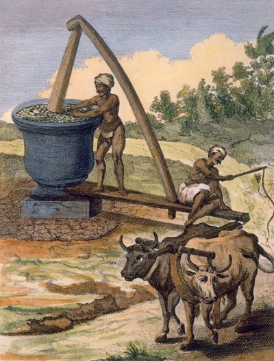 'Voyages aux Indes et a la Chine'dan Poisson tarafından oyulmuş bir çift öküz tarafından işlenen bir yağ değirmeni by Pierre Sonnerat