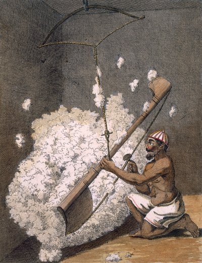 Pamuk tarama, 1782. by Pierre Sonnerat