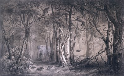 Tirpenne ve J. Gaildrau tarafından oyulmuş Pierre Tremaux (1818-95) tarafından Voyages au Soudan Oriental et dans lAfrique Septentrionale