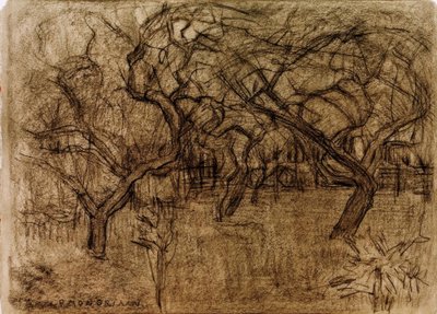 meyve bahçesi by Piet Mondrian