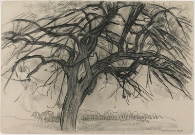 Akşam için Ön Çalışma: Kızıl Ağaç, 1908 (kağıt üzerinde siyah mum boya ve karakalem) by Piet Mondrian