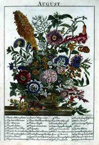 Ağustos, Robert Furber (c.1674-1756) tarafından 