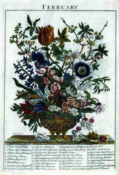 Şubat, Robert Furber (c.1674-1756) tarafından 